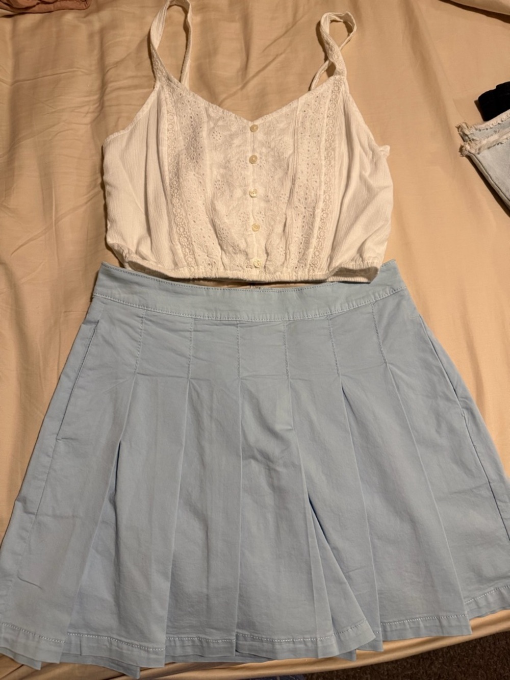 American Eagle Outfitters Light Blue Pleated Skater Skirt